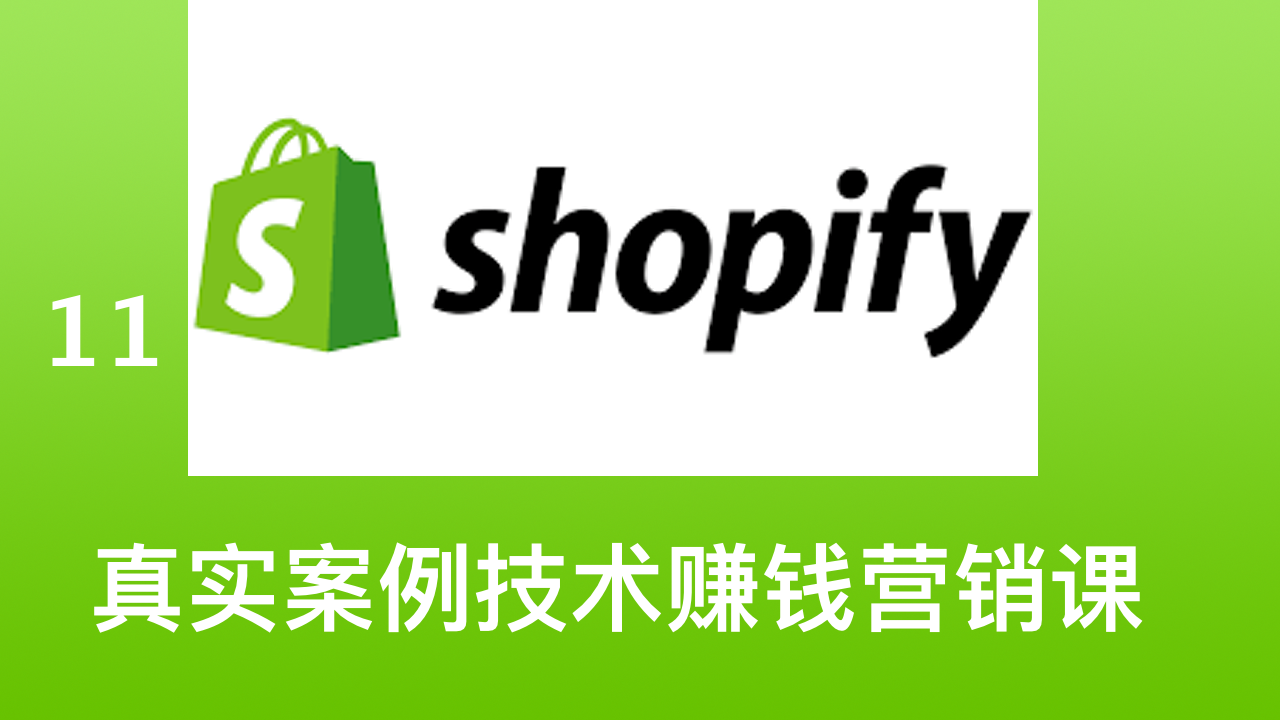 Shopify 真实案例技术赚钱营销课视频教程 11 真实建站案例分享，两个视频会议搞定的 Shopify 建站单
