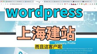 Shopify & WordPress 真实建站案例收集 02 给上海客户做的 10000 块的签合同的 B2B 企业站