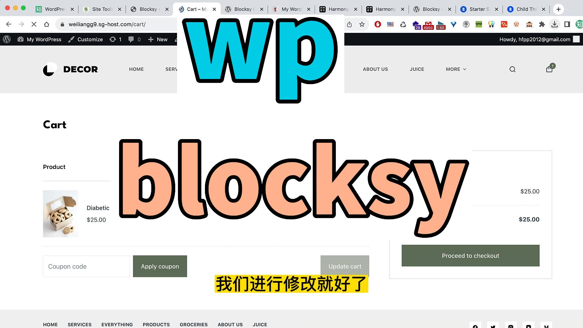 WordPress 零基础真实案例建站技术和接单视频教程 10 最好用的主题 blocksy
