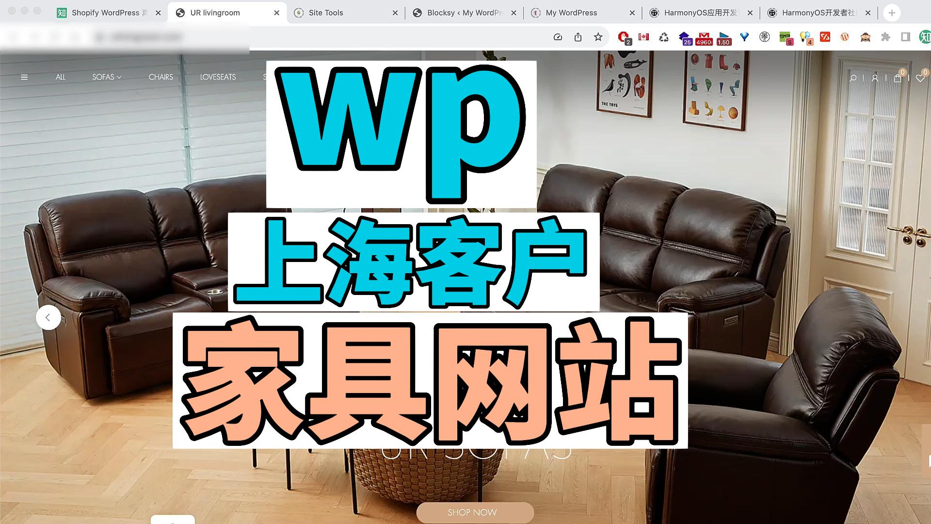 Shopify & WordPress 真实建站案例收集 05 8000 块钱给上海客户做的 shopify 家具网站建站和二次开发