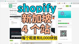Shopify & WordPress 真实建站案例收集 08 给新加坡客户做的 4 个 shopify 独立站，每个 8000