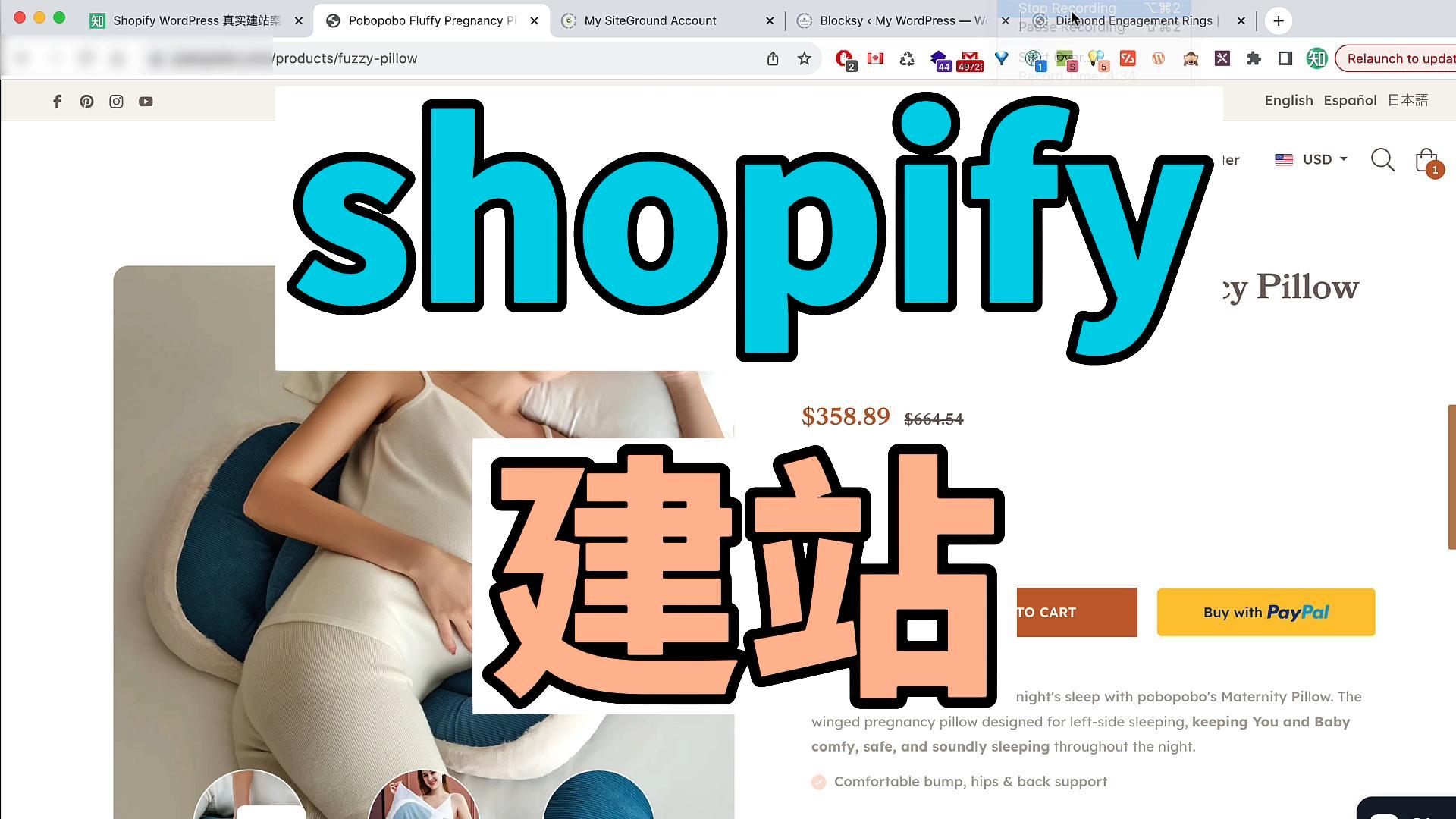 Shopify & WordPress 真实建站案例收集 09 给国内客户做的孕妇枕 shopify 独立站